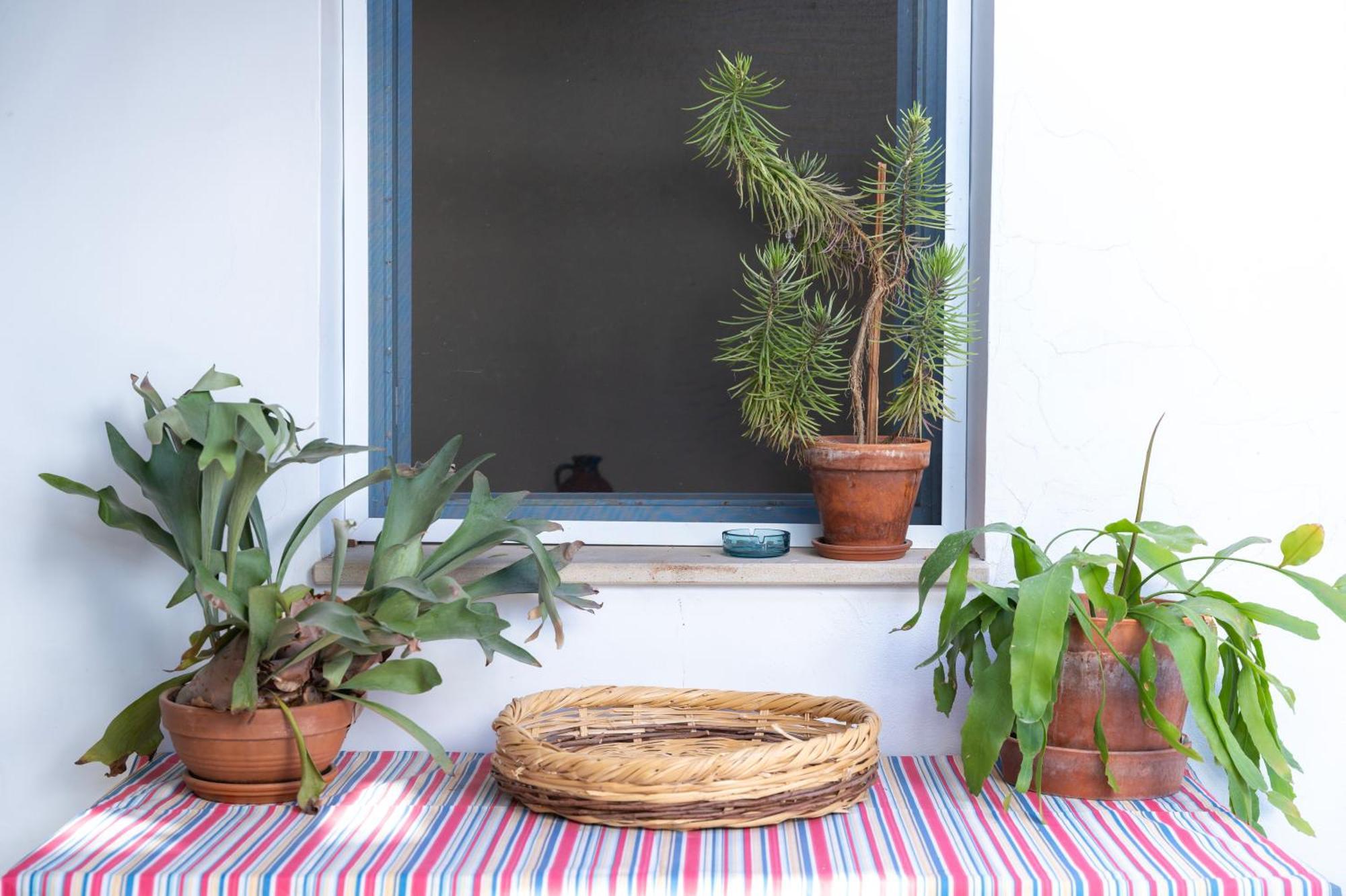 Ananke Home Nicosie Extérieur photo